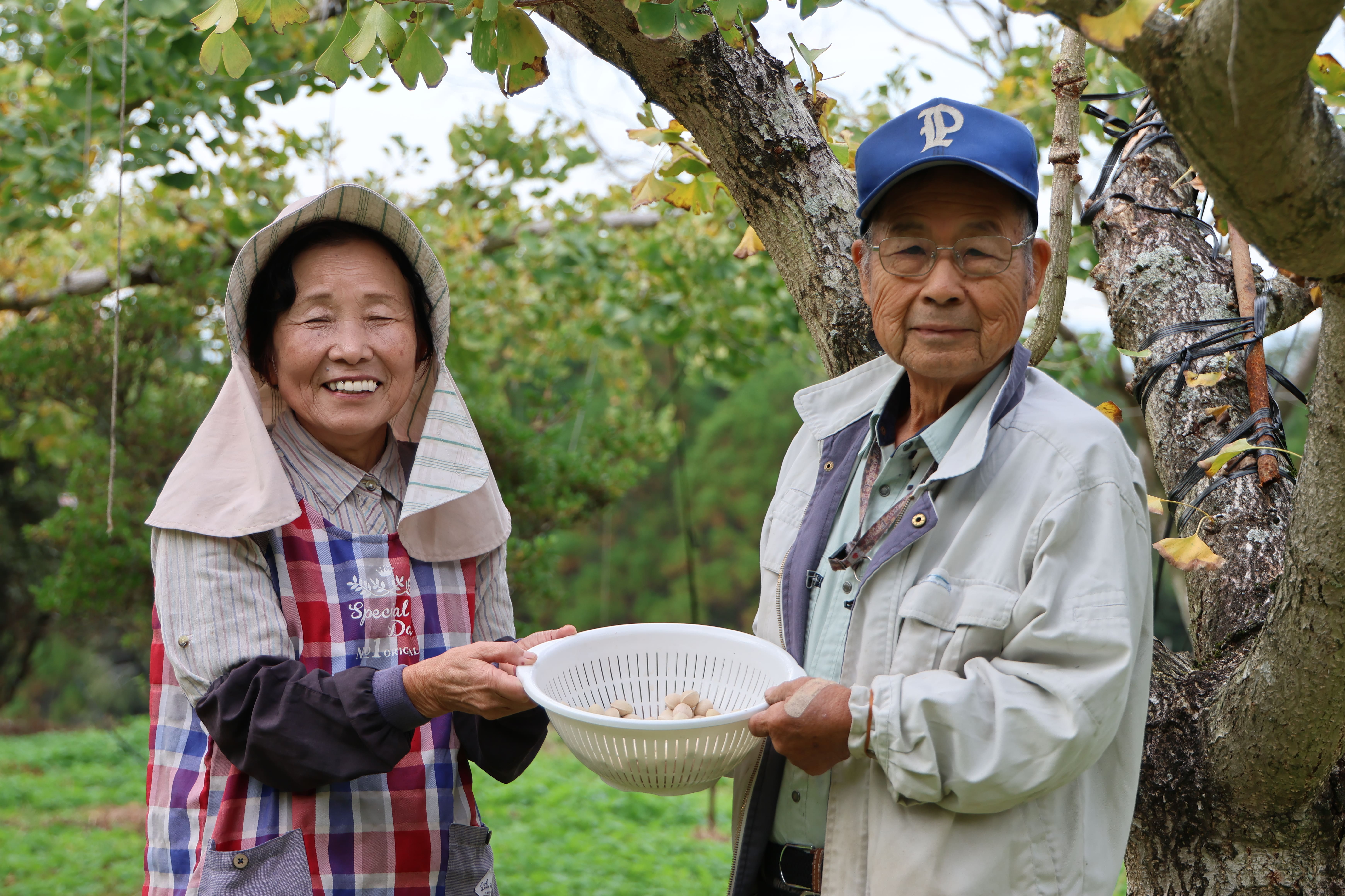 地産地消だけではもったいない!全国に誇れる菊池のうまいもの!【ぎんなん】