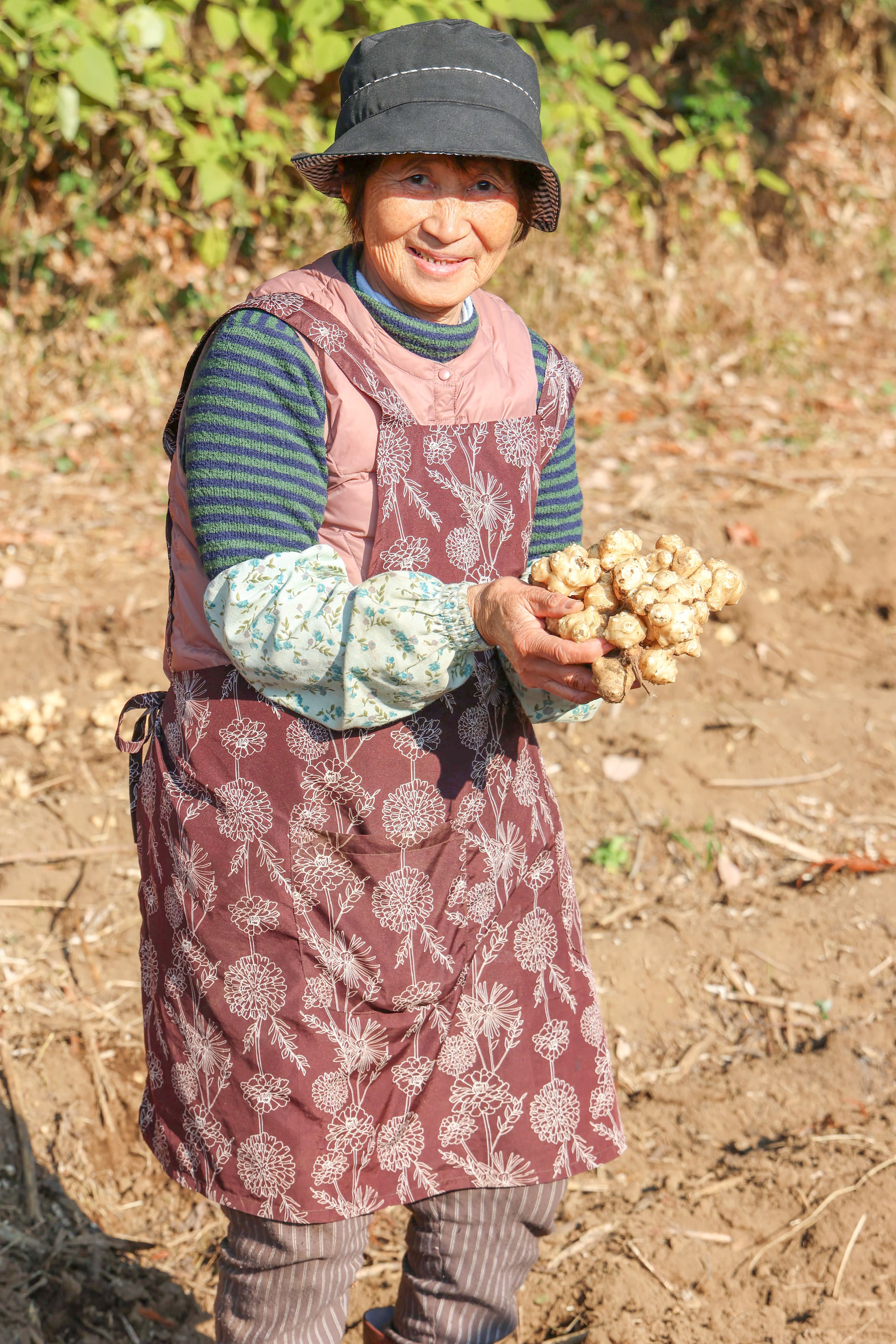地産地消だけではもったいない!全国に誇れる菊池のうまいもの!【きくいも】