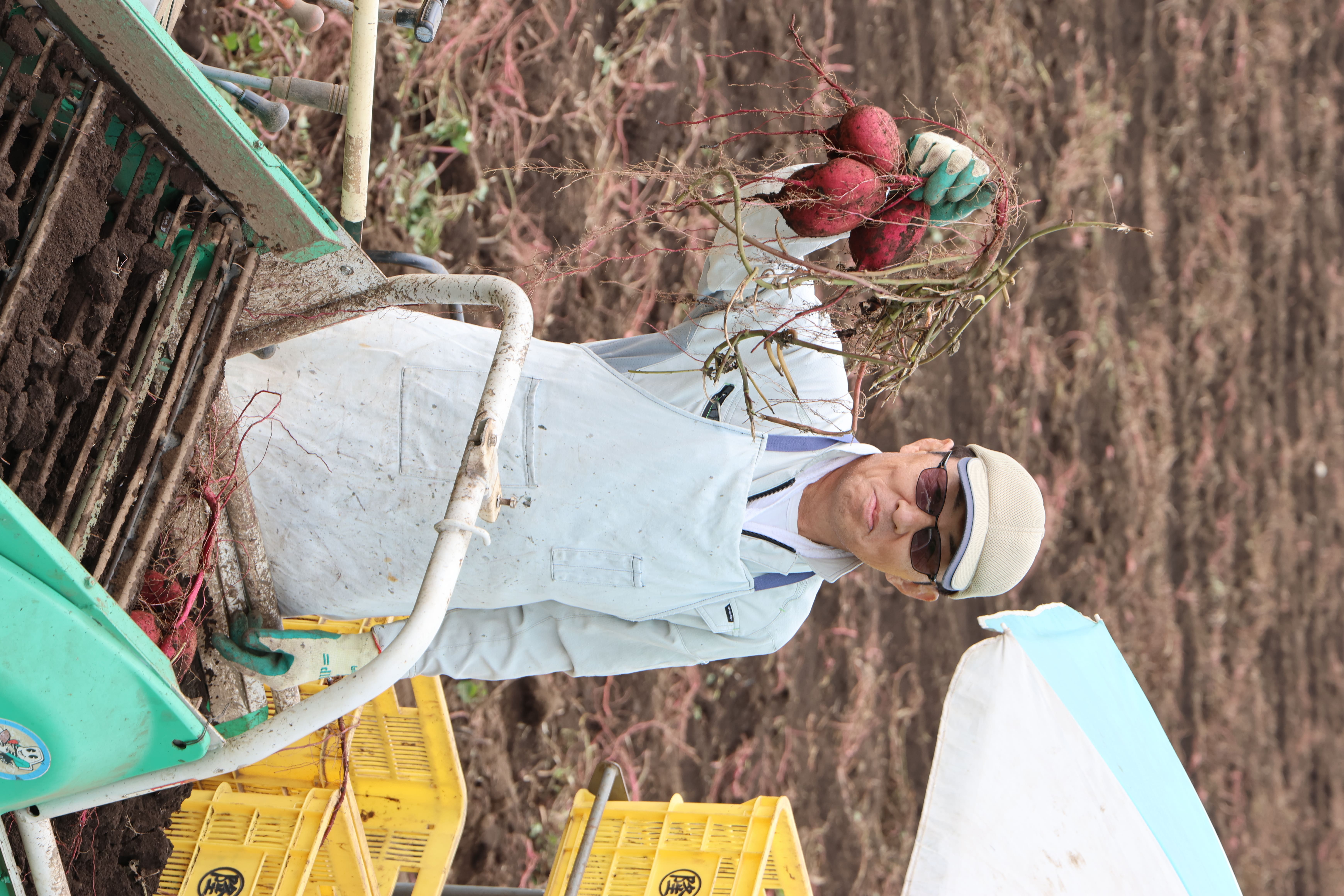 地産地消だけではもったいない!全国に誇れる菊池のうまいもの!【唐いも】