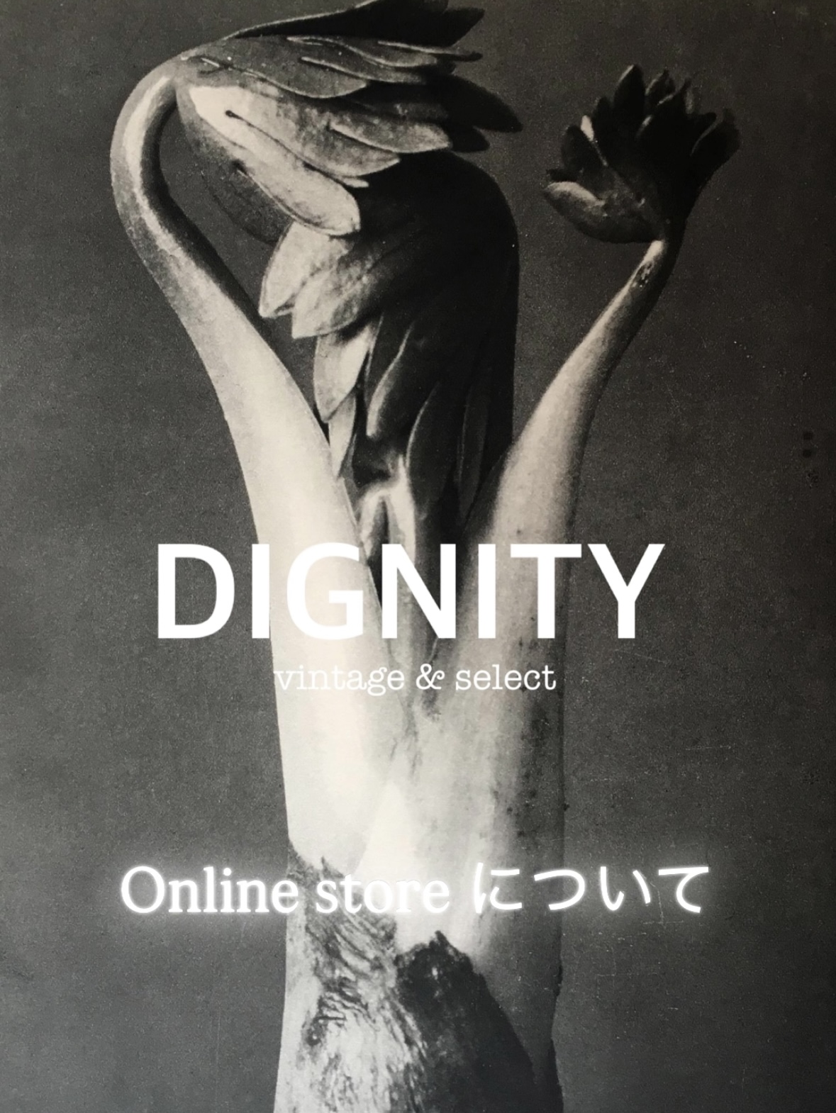 【Online store について】お知らせ