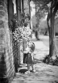 台風に地震・・