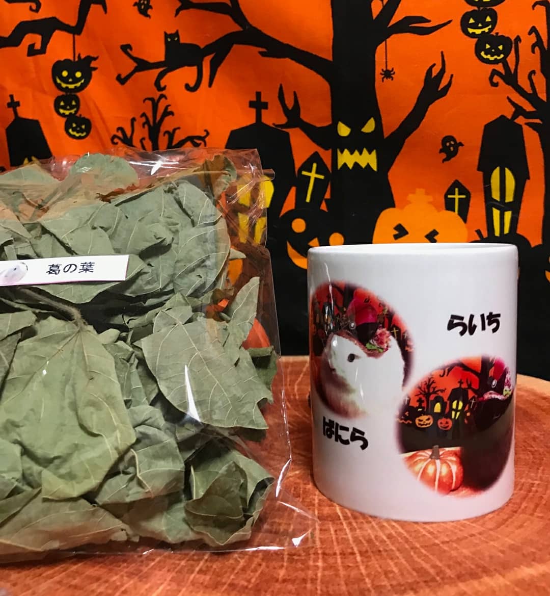 真夜中の魔女HALLOWEENトンガリハットマグカップ