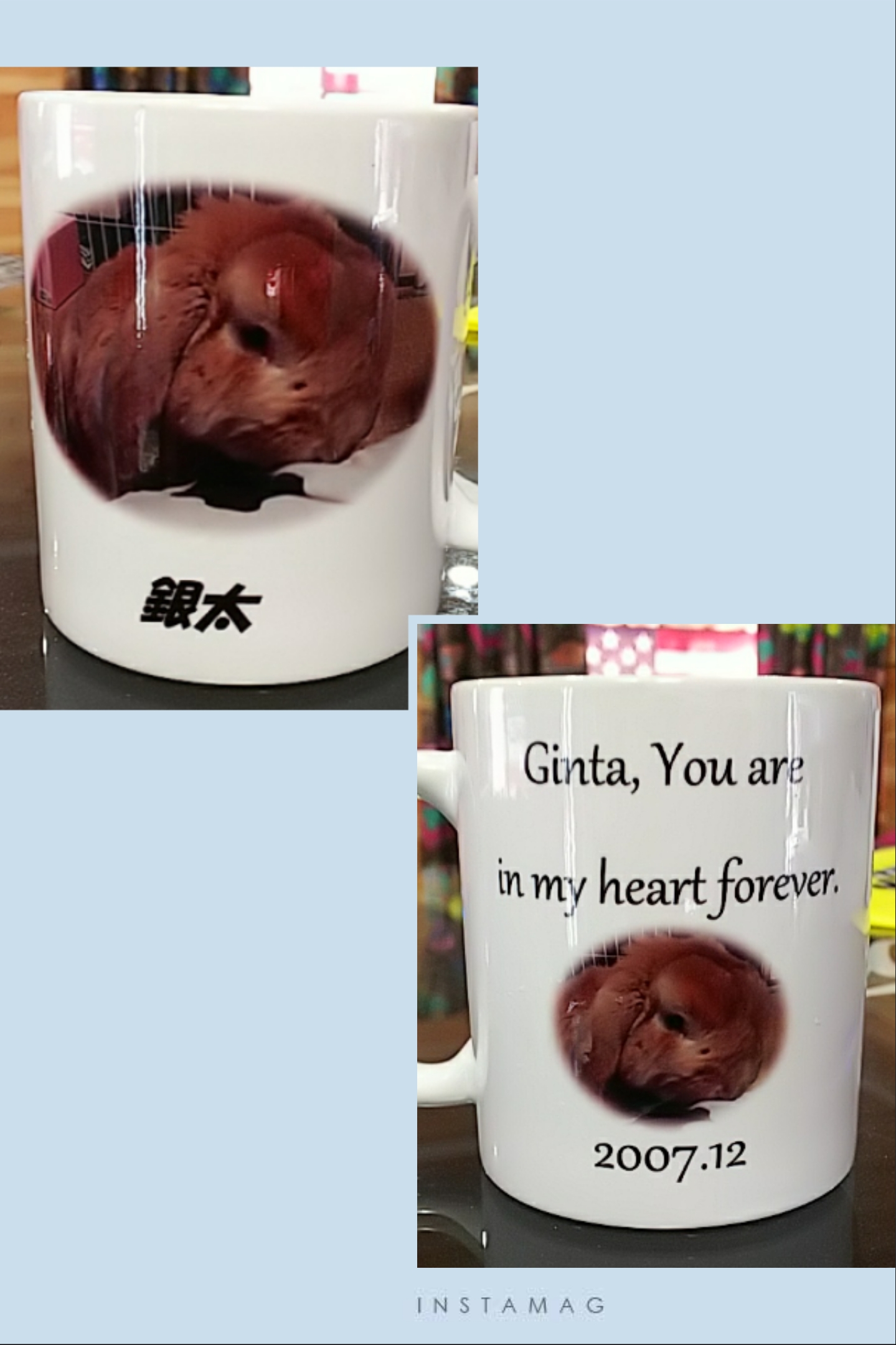 銀太のメモリアルマグカップ