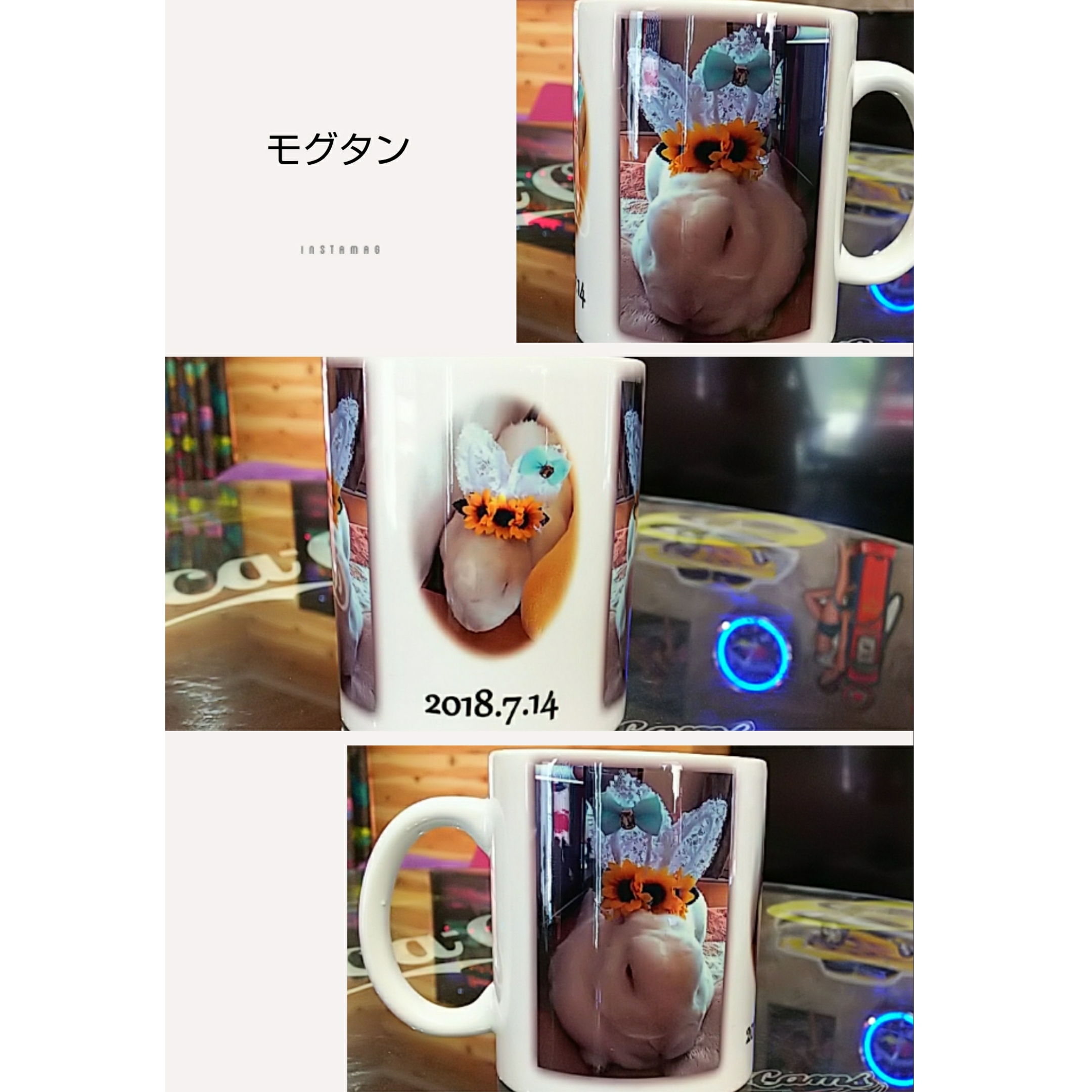 向日葵花冠モグタン