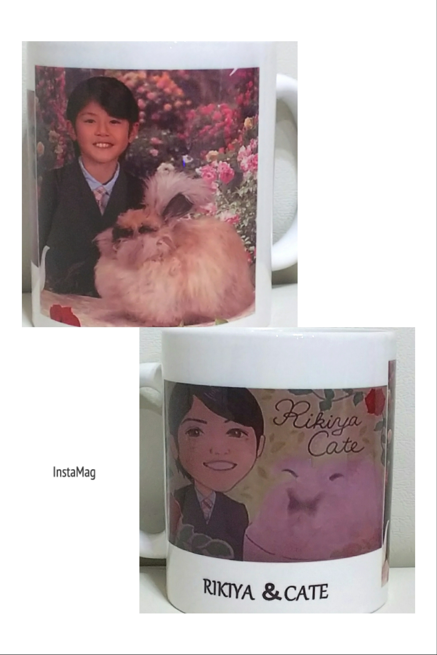 りきくん&CATE