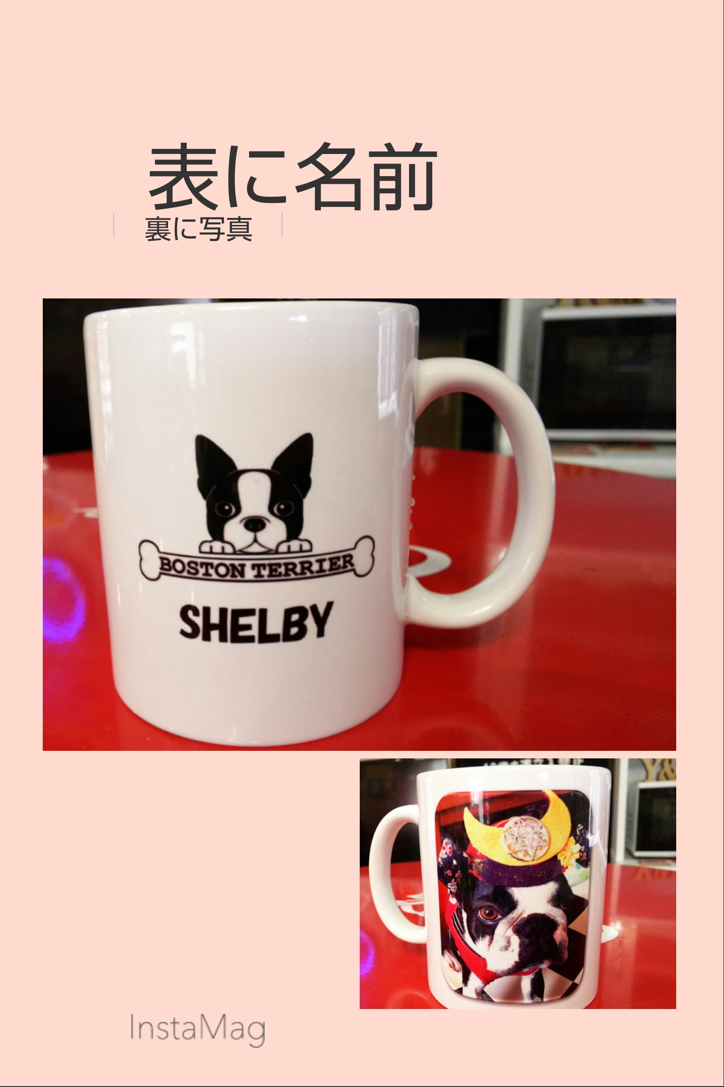 サンプル作成モデルはシェルビーくん♥️