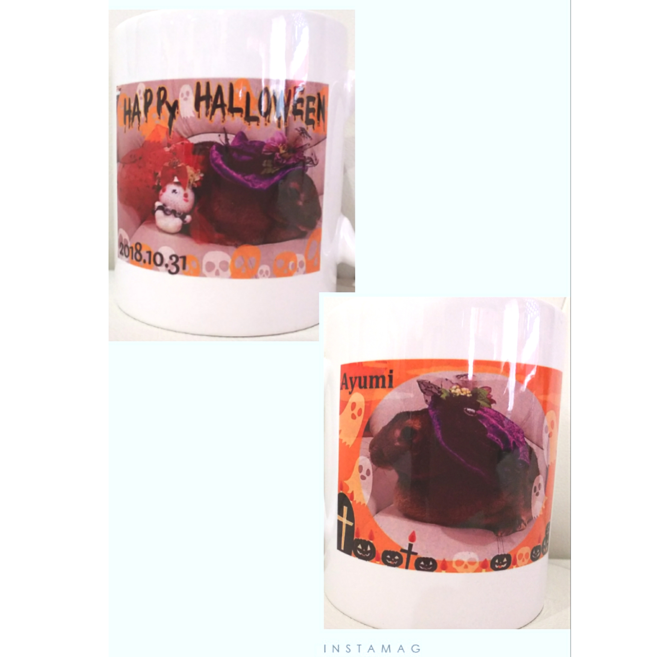 うちの子HALLOWEEN記念マグカップ