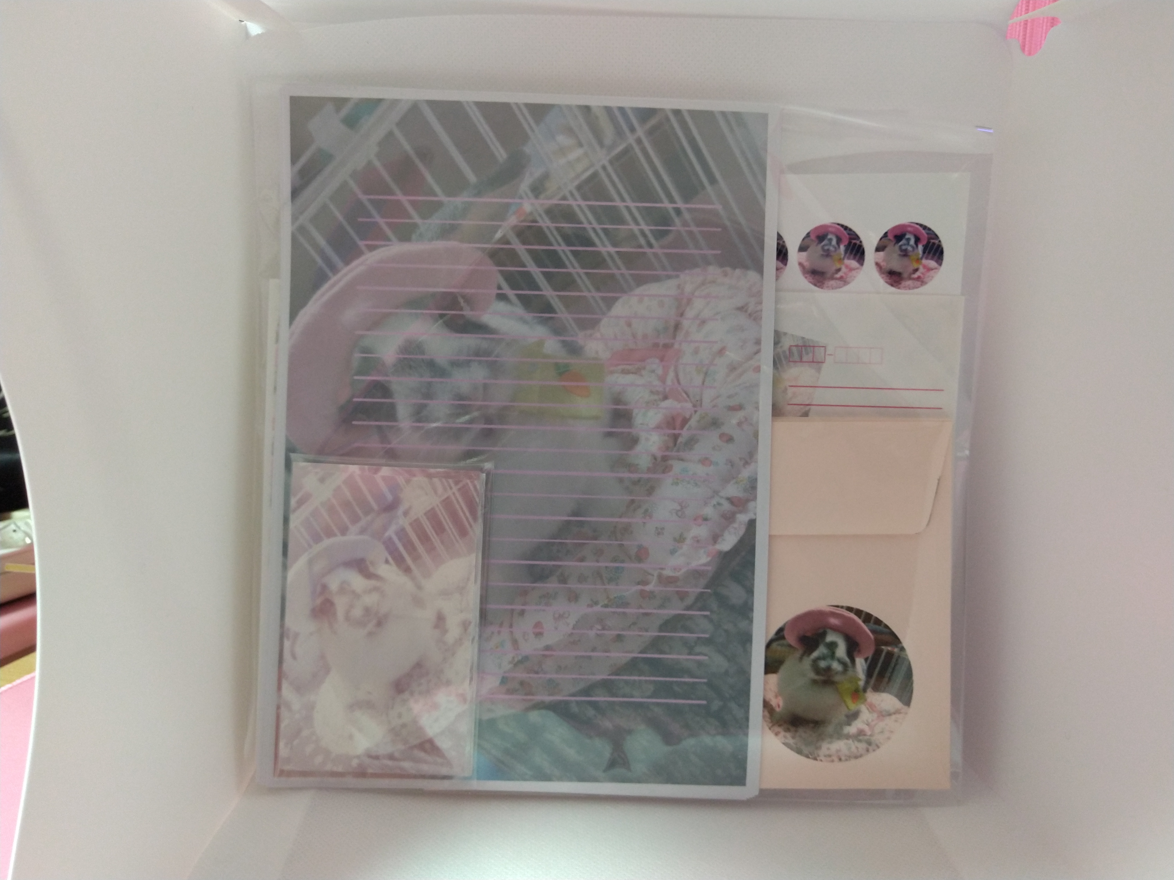 素敵便５点セット