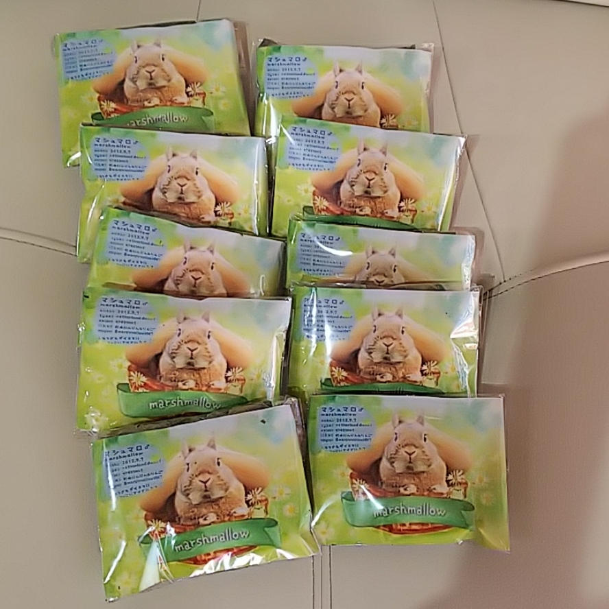 うちの子アピールプレゼント10セット