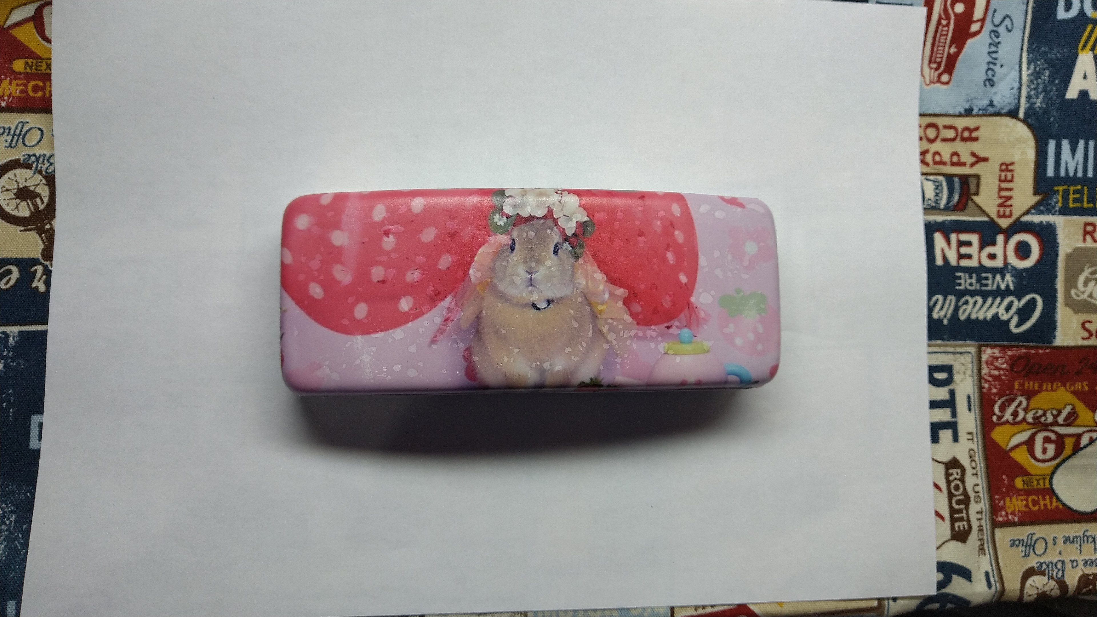 うちの子メガネケース