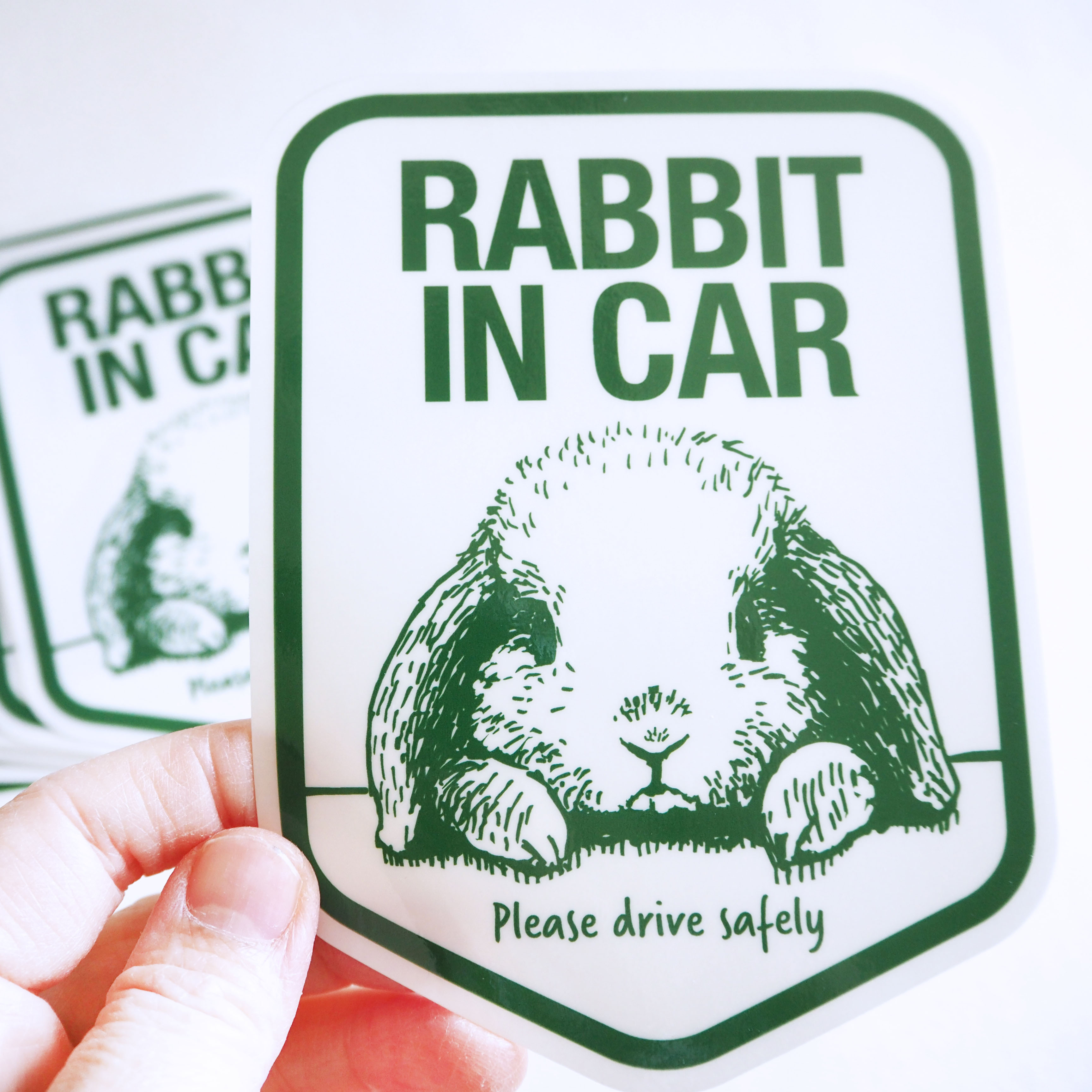 「RABBIT IN CAR」ロップちゃんバージョンが仕上がりました。