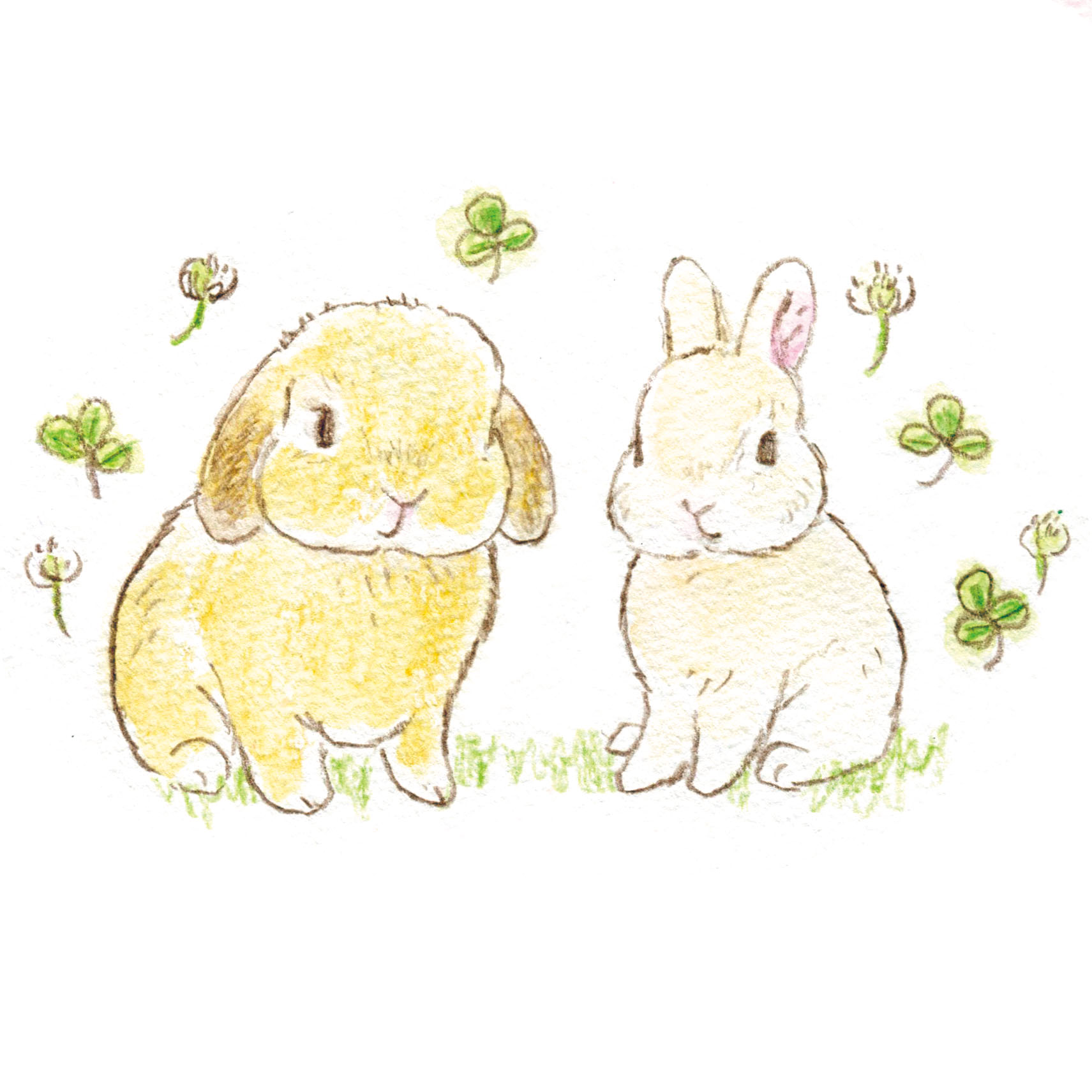 【お知らせ】リニューアルのため一時、ショップをお休みします。