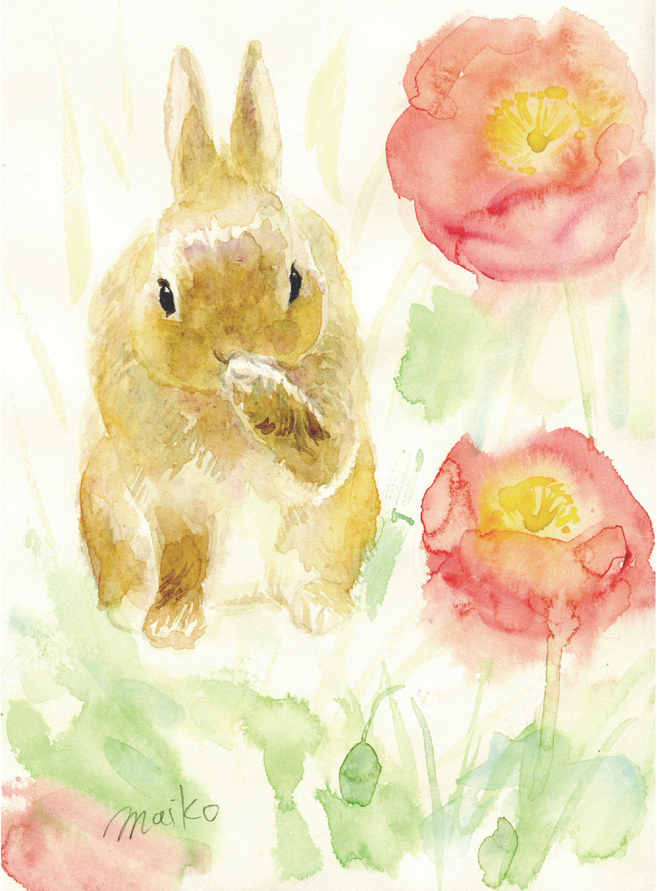 ポピーの花と、春のうさぎの水彩画