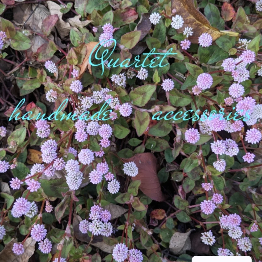 ご挨拶とお知らせ。