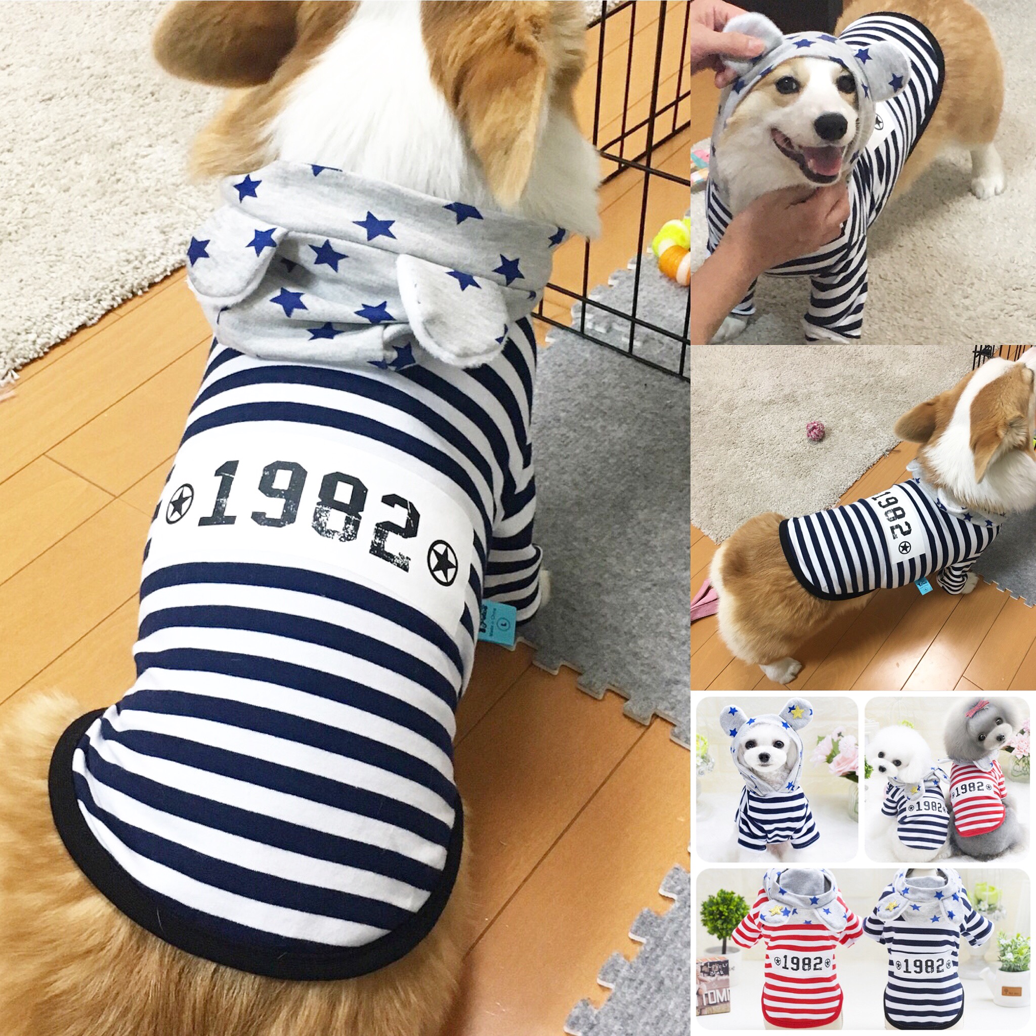 暖かな毎日