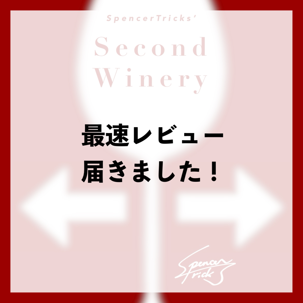 【最速レビュー届きました!】