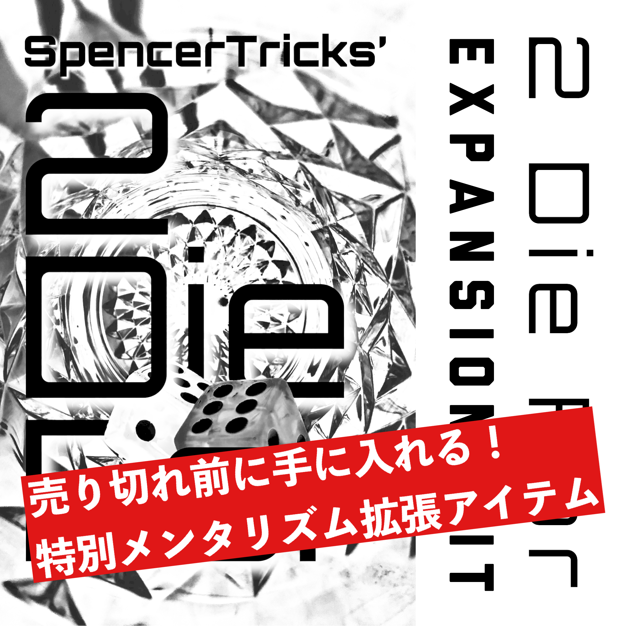 【数量限定！拡張アイテム、人気です！】