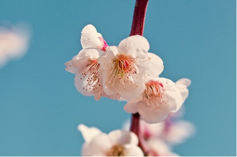 2026年4月の休業日のお知らせ