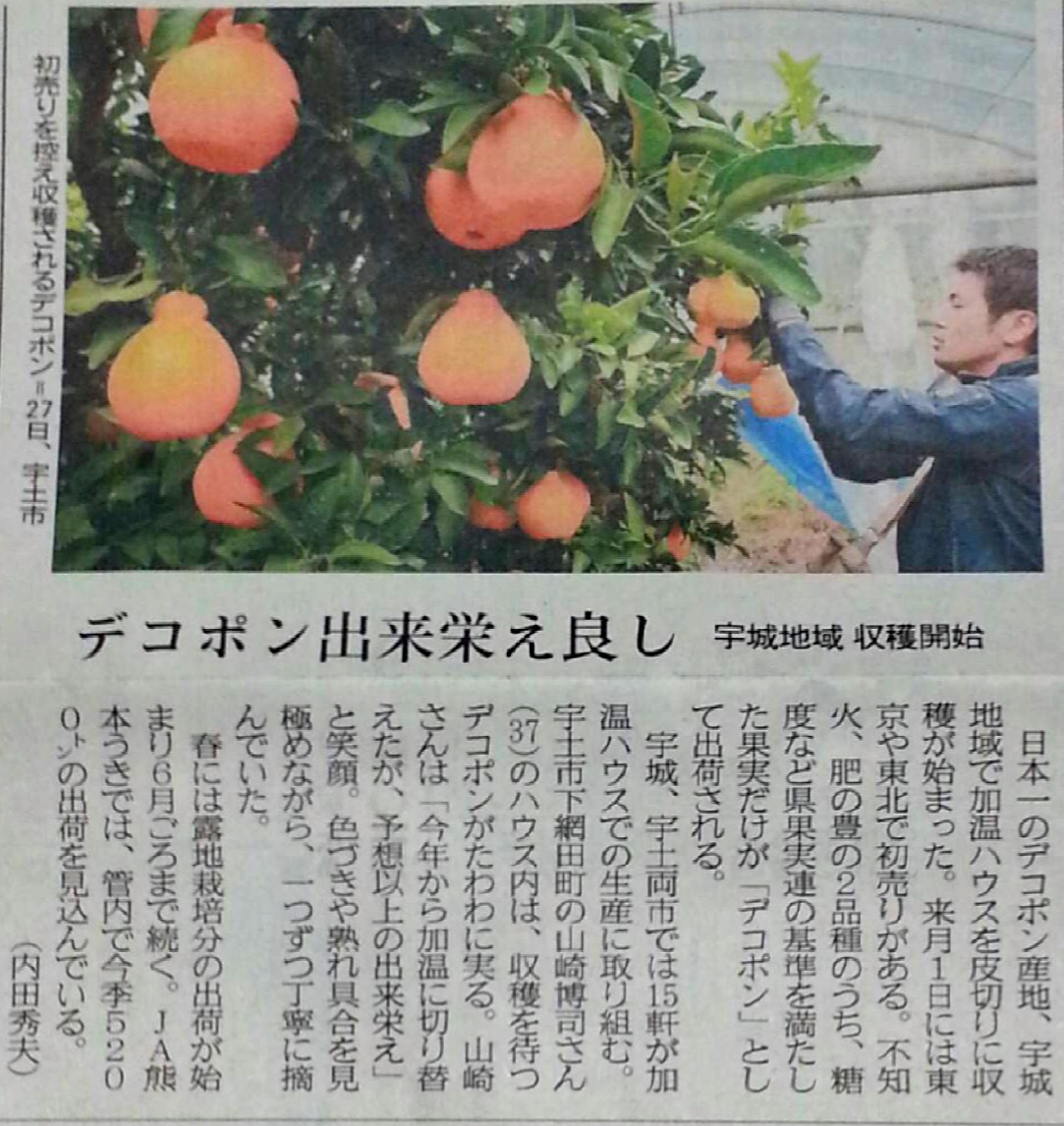 Ｈ30/12月  熊本日日新聞に掲載されました。