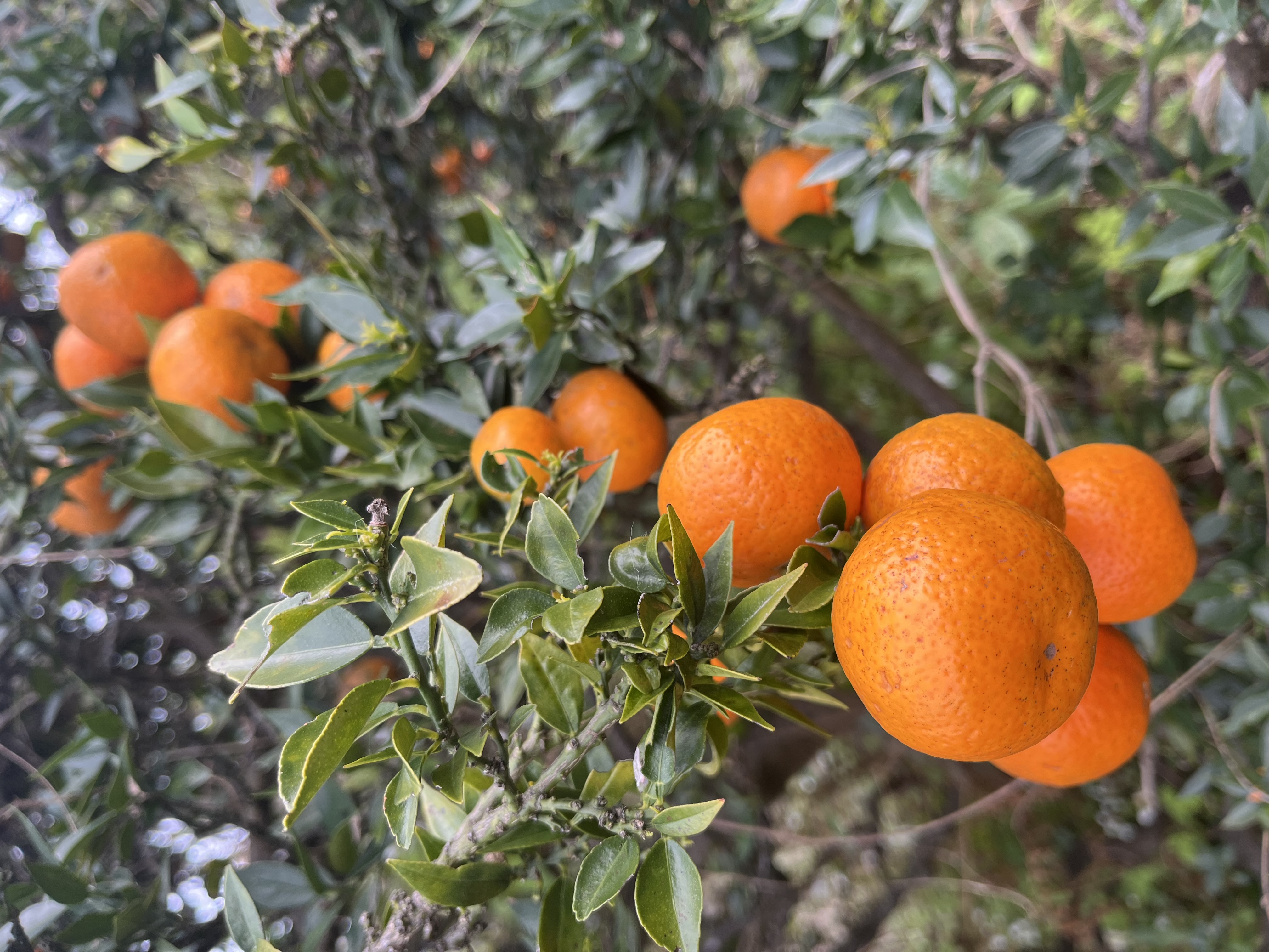 2025年ありがとうございました