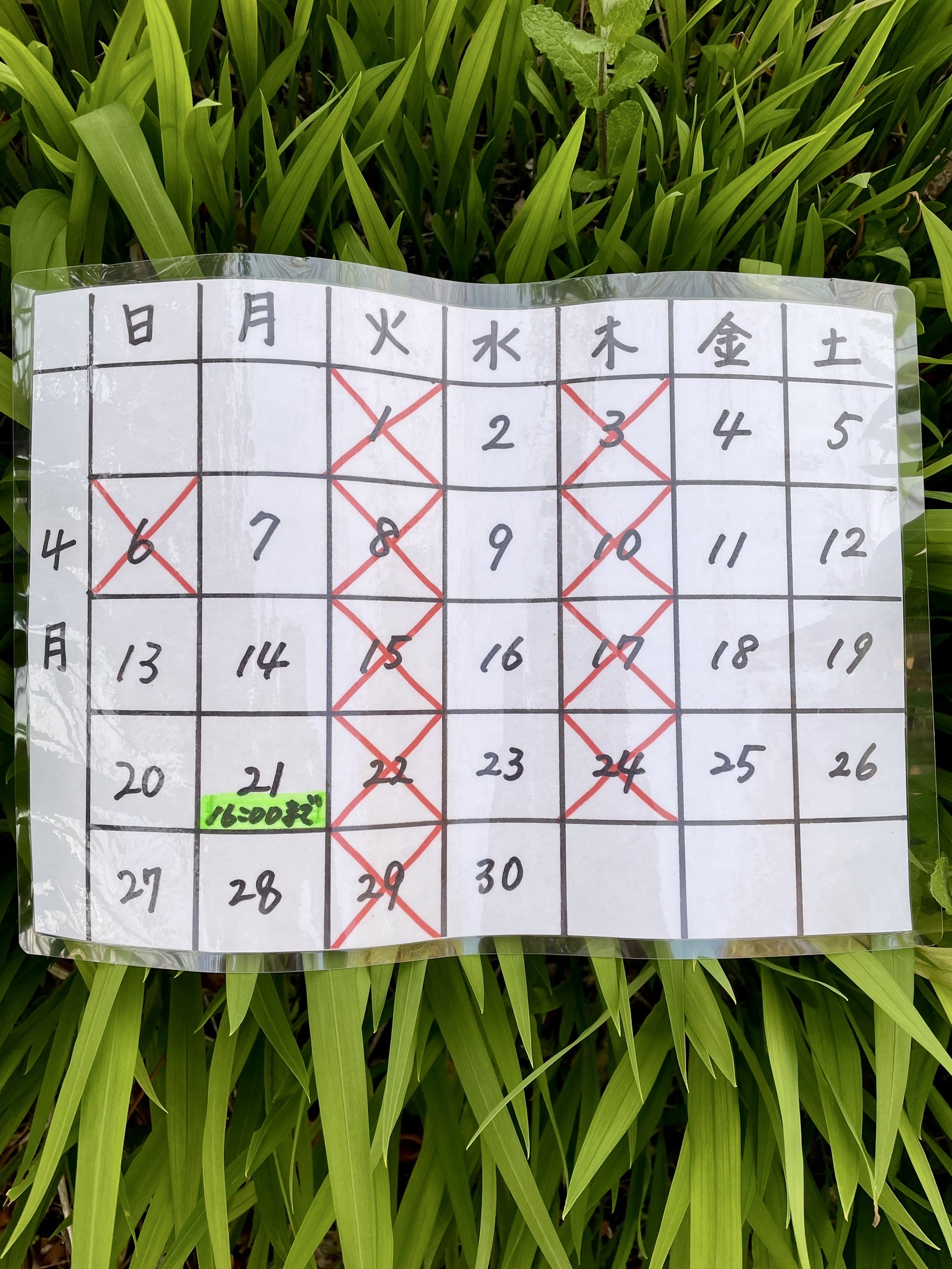 4月に入りました🌸