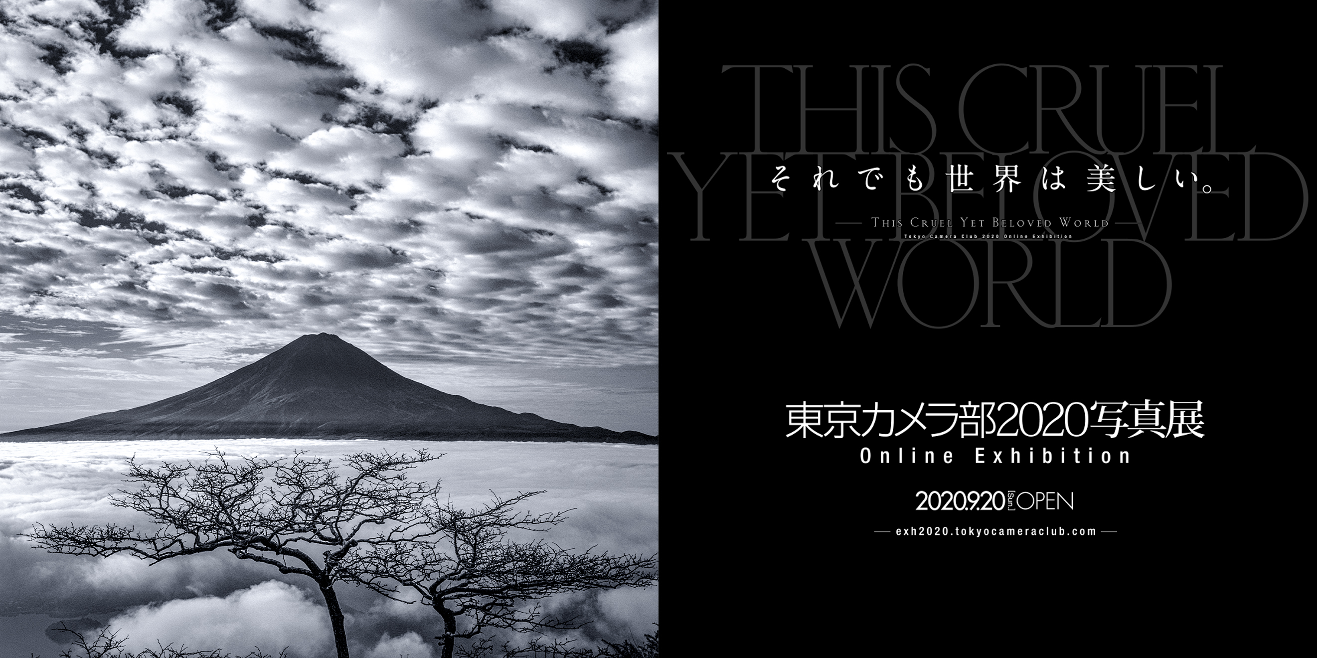 東京カメラ部２０２０オンライン写真展で３３点の作品が展示されます