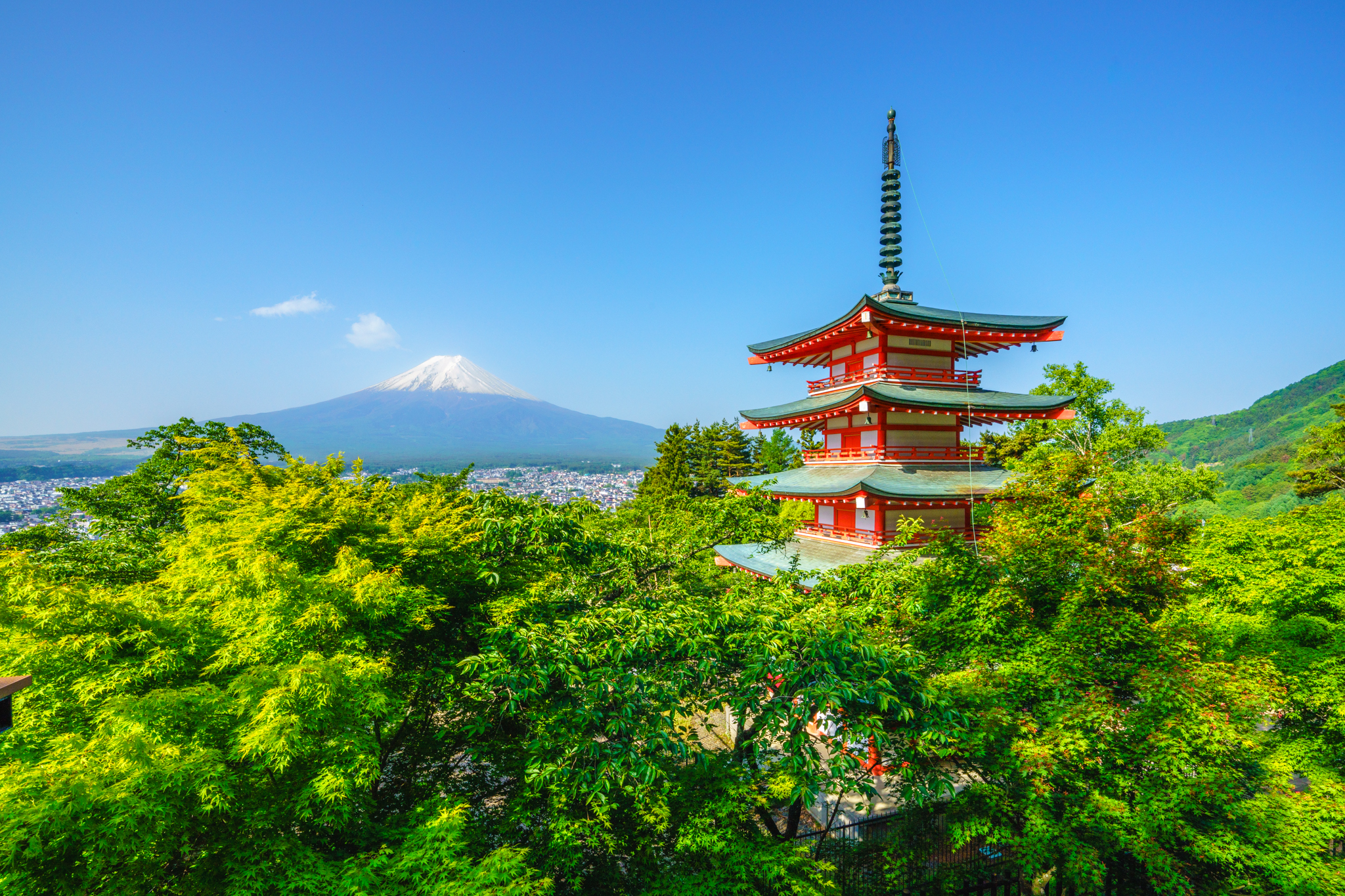 BS-TBS・TV山梨の 「富士山世界遺産10周年記念特別番組」 に出演します