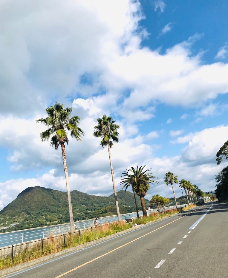 おおもと農園ご紹介
