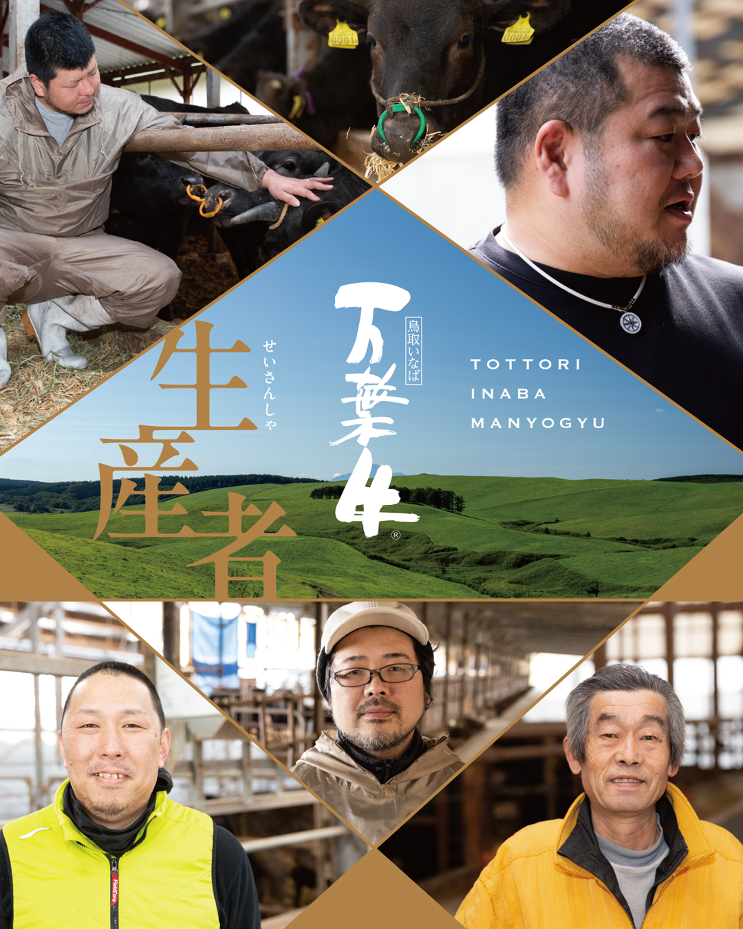 「お代わりしたくなる霜降り」鳥取いなば万葉牛！