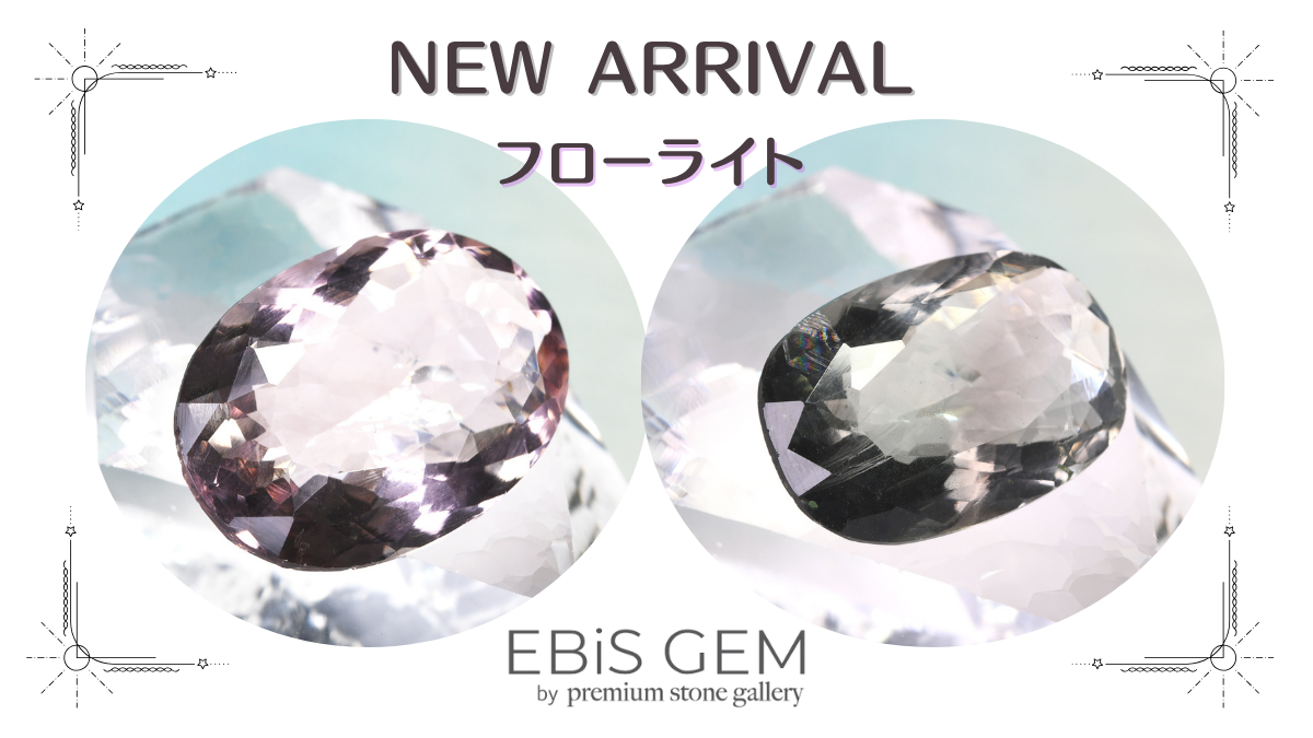 11/6新着|フローライト