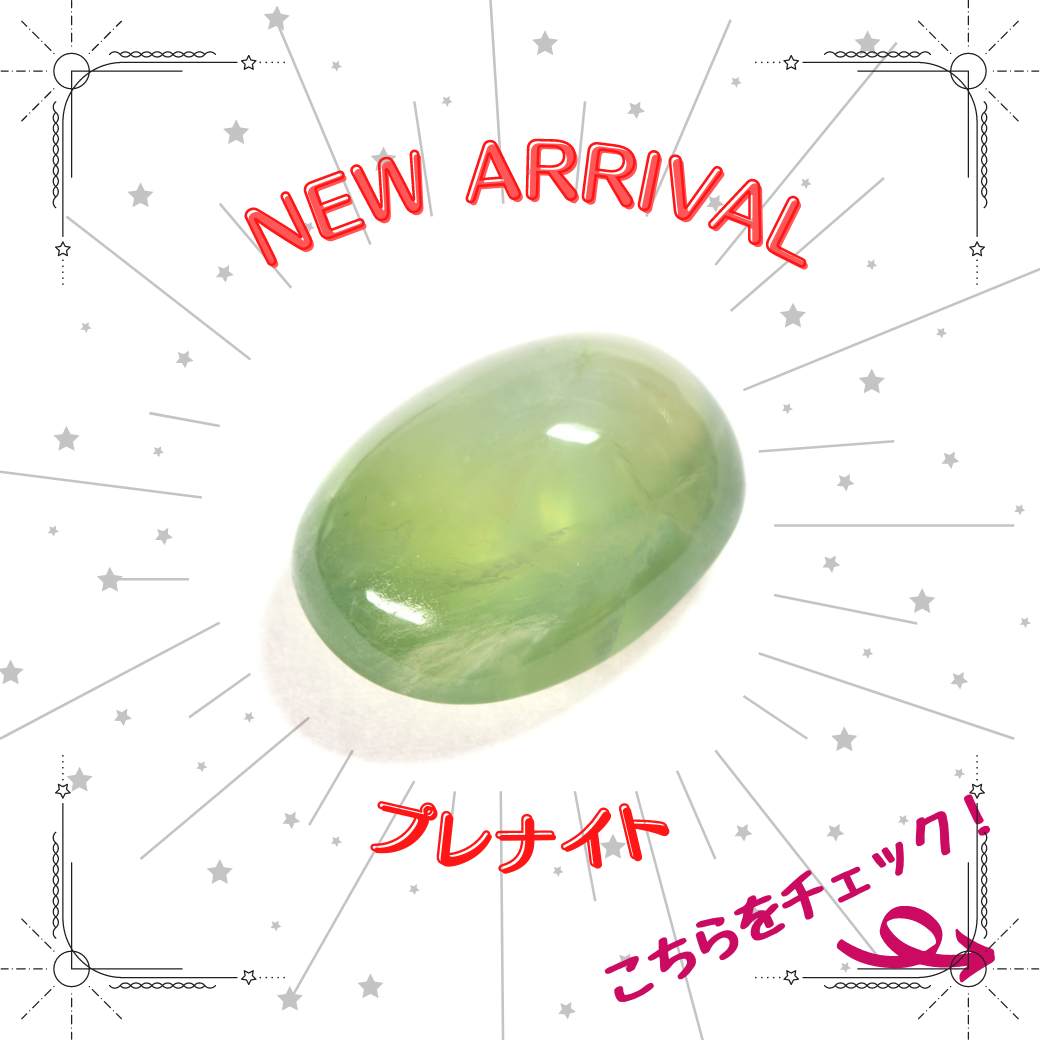 9/20新着｜秋の味覚が実りました！プレナイト特集