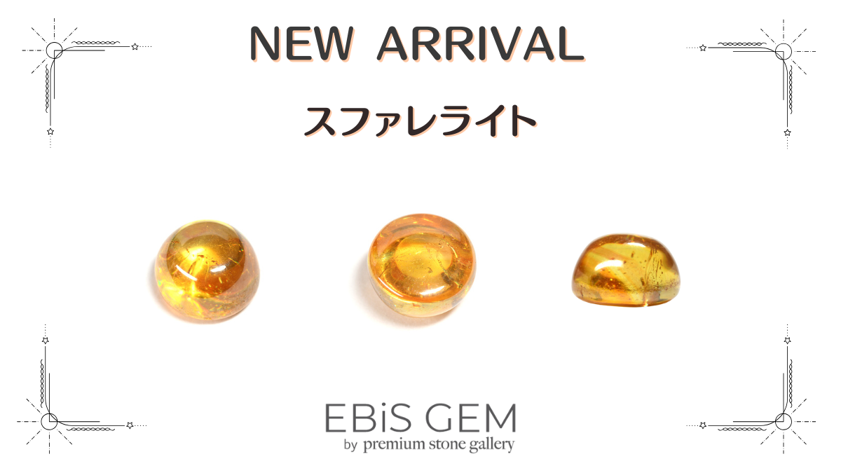 12/18新着|スファレライト