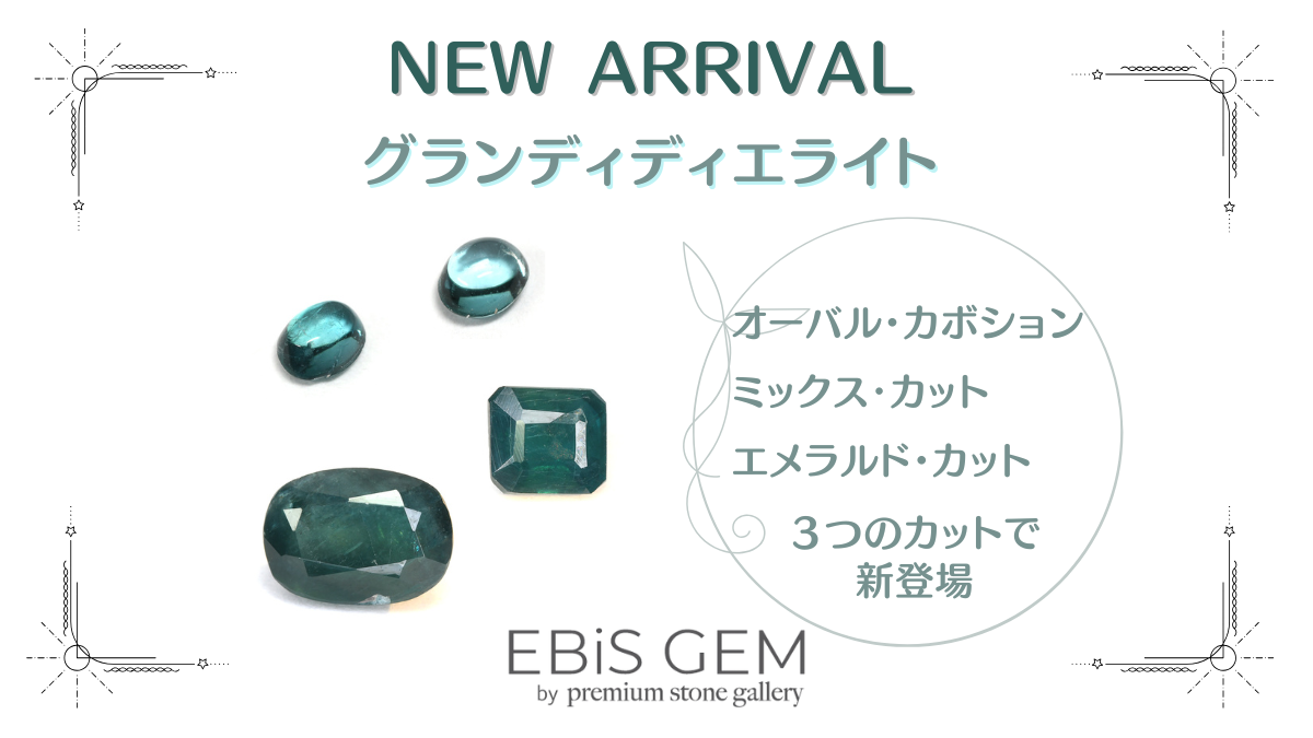 11/13新着｜グランディディエライト