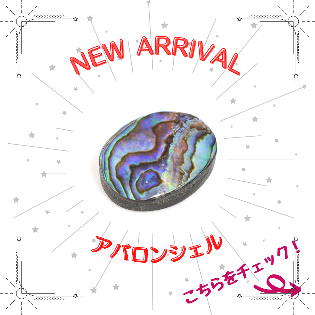 8/9新着｜初登場！アバロンシェル特集