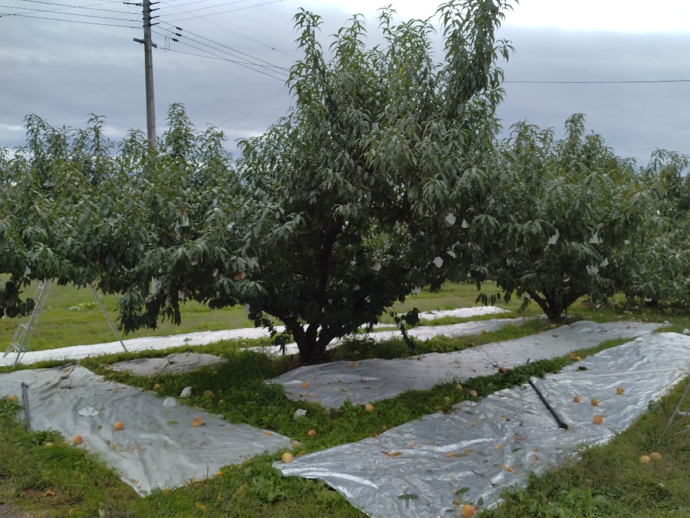 販売終了のお知らせ