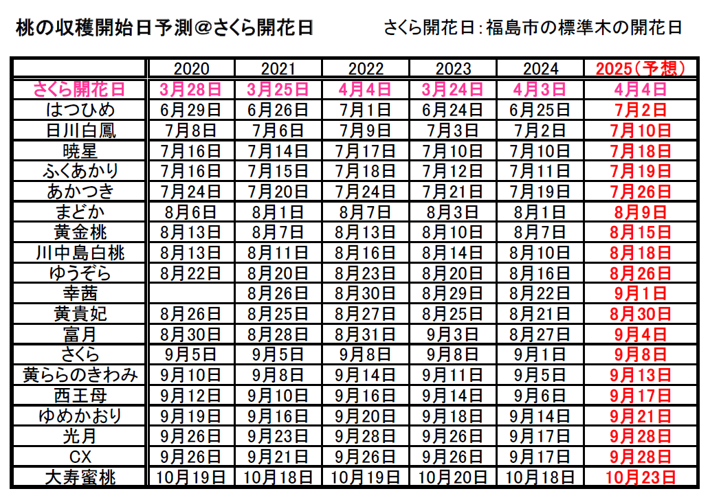 桃の収穫開始予測日