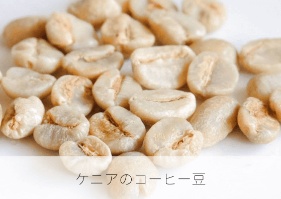 ケニアの選抜品種、SL28、SL34について