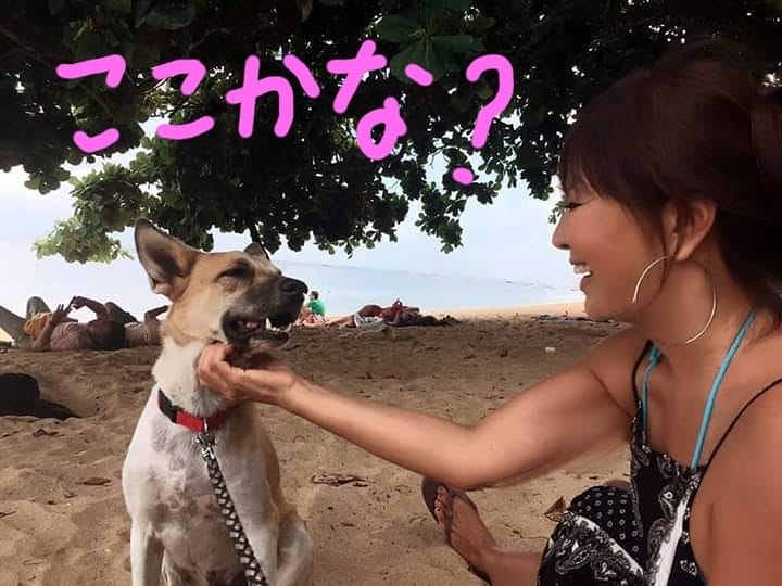 ここかな？
