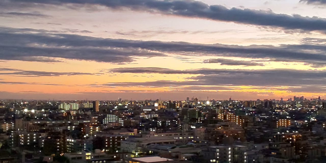帰ってきたばかりなのに…