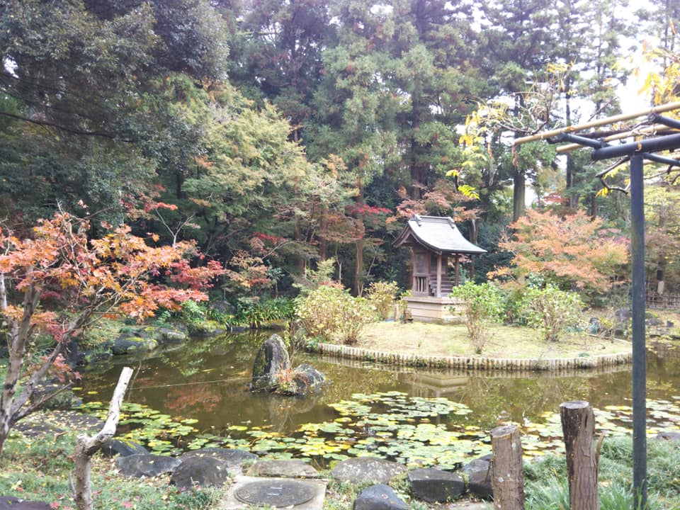 紅葉を見に行ってきた
