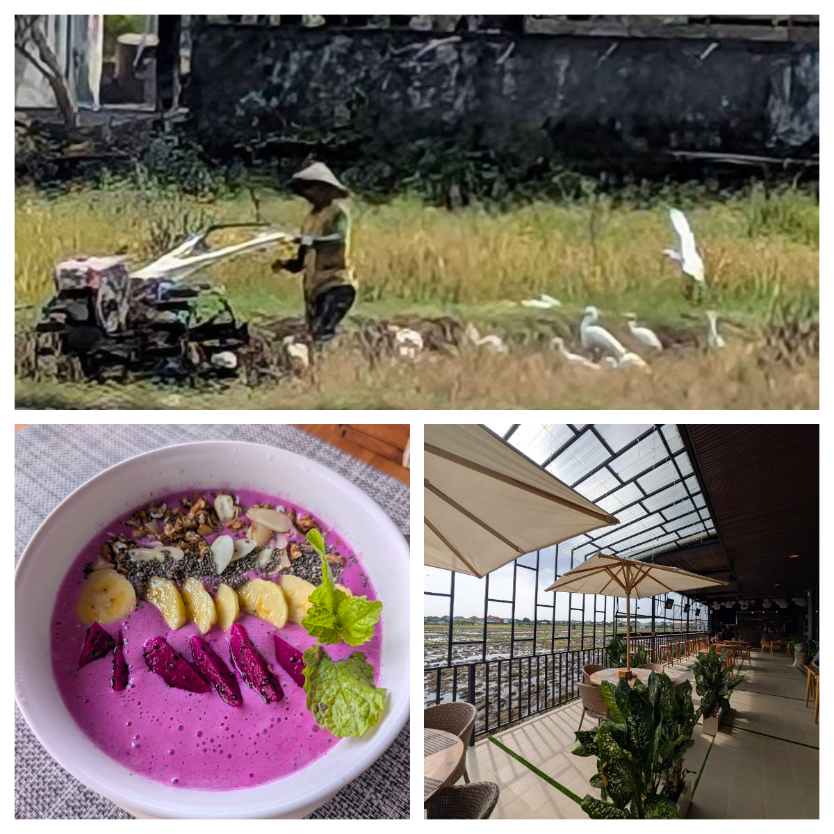 またまた初来の店