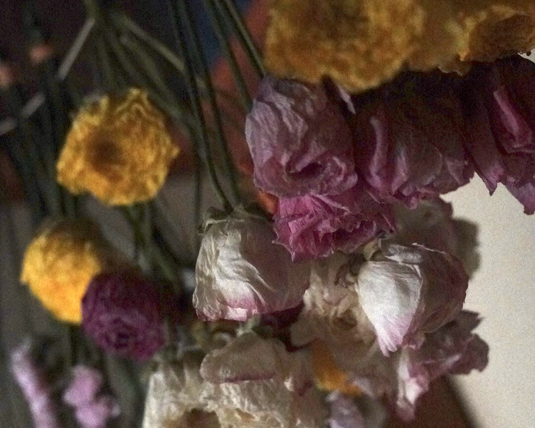 この季節だけの、ラナンキュラスを閉じ込めて。