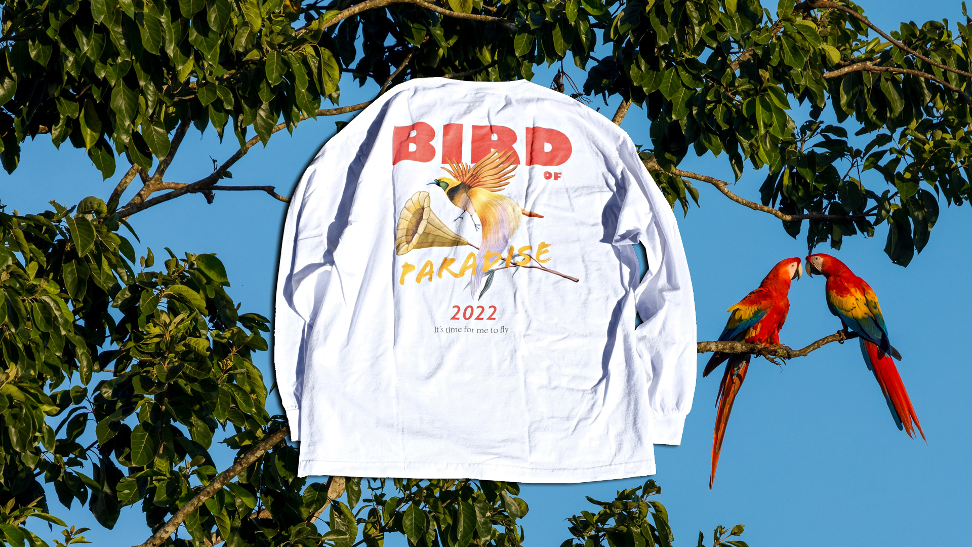 BIRD OF PARADISE 2022 LS Tee