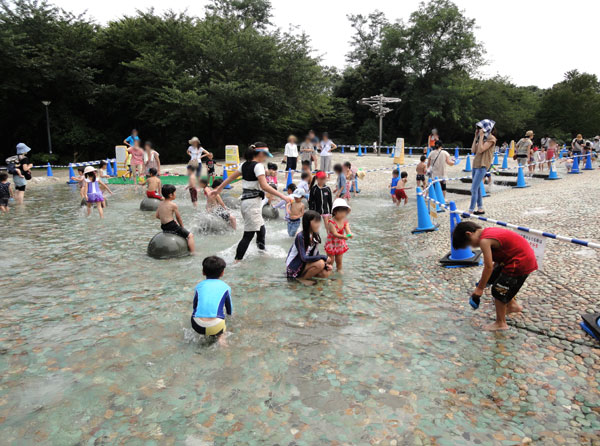 千葉市青葉の森公園 水遊び 公園 夏 無料 プール