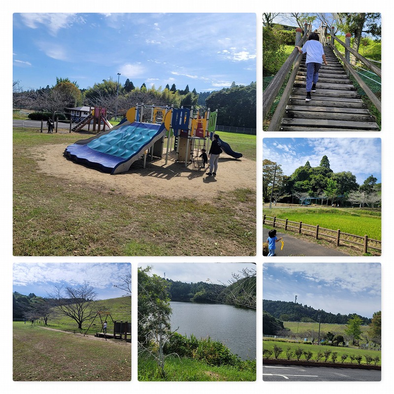 大網白里市の小中池公園