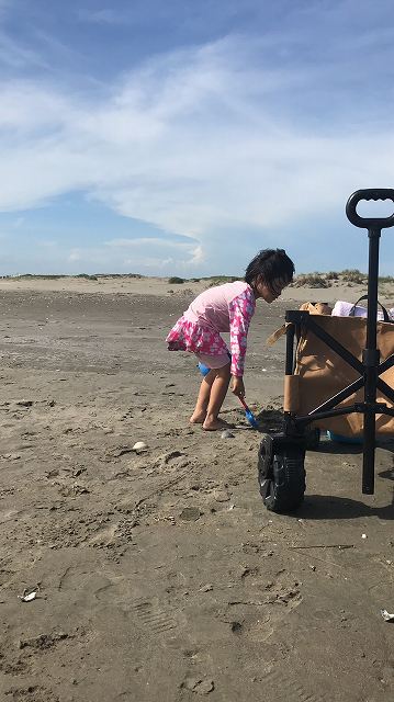 公園や海で見かけるアレ！失敗しない選び方 アウトドアワゴン キャリーワゴン