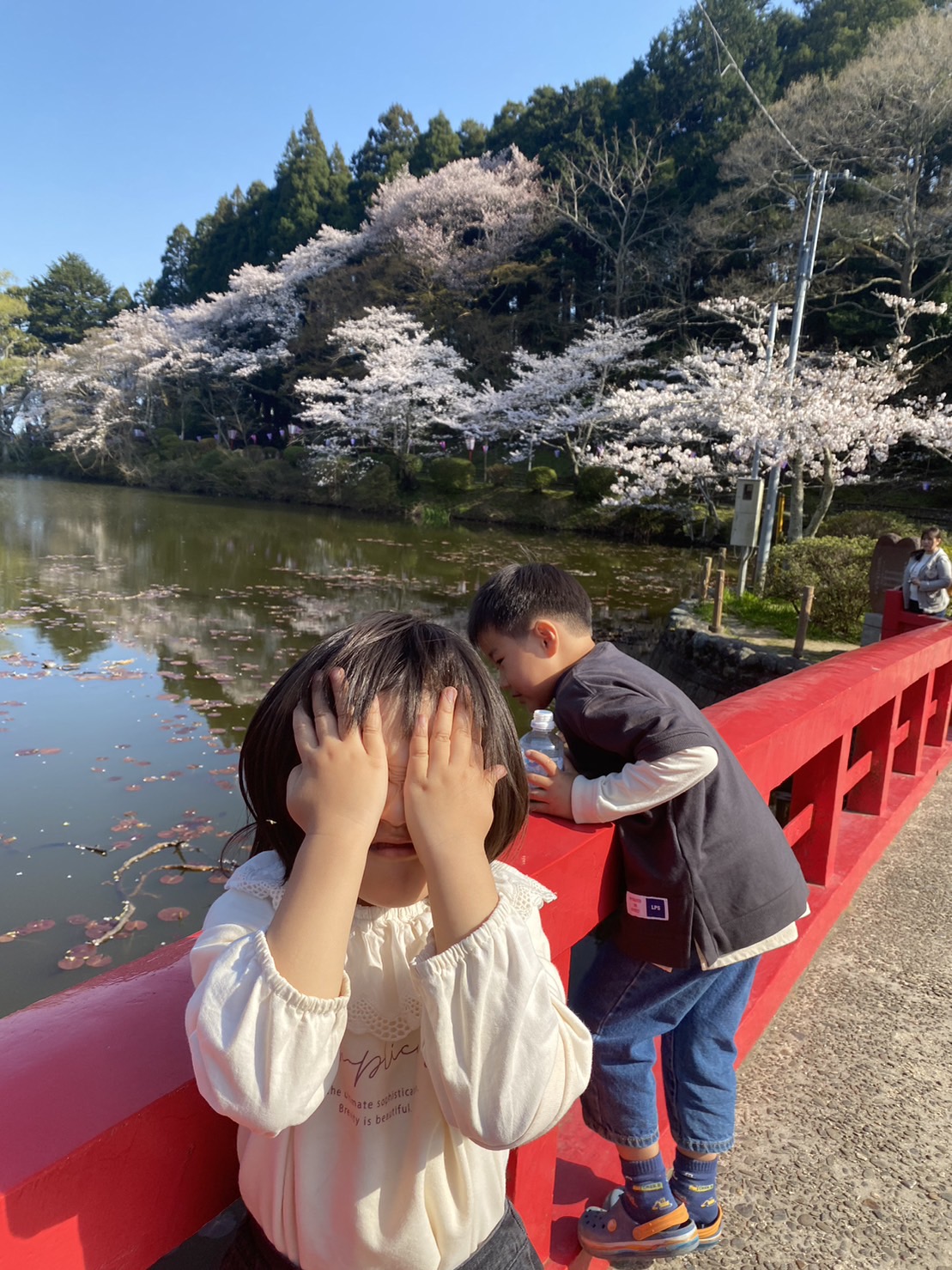 茂原公園に桜を見に行ってきました。 千葉県 茂原市 遊び場 花見 夜桜