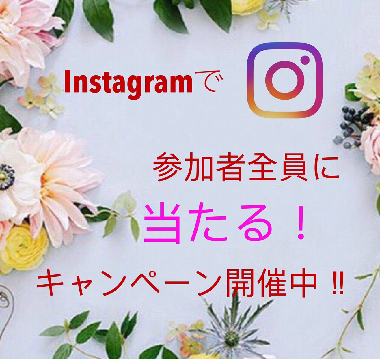 １００％当たる　Instagramキャンペーン