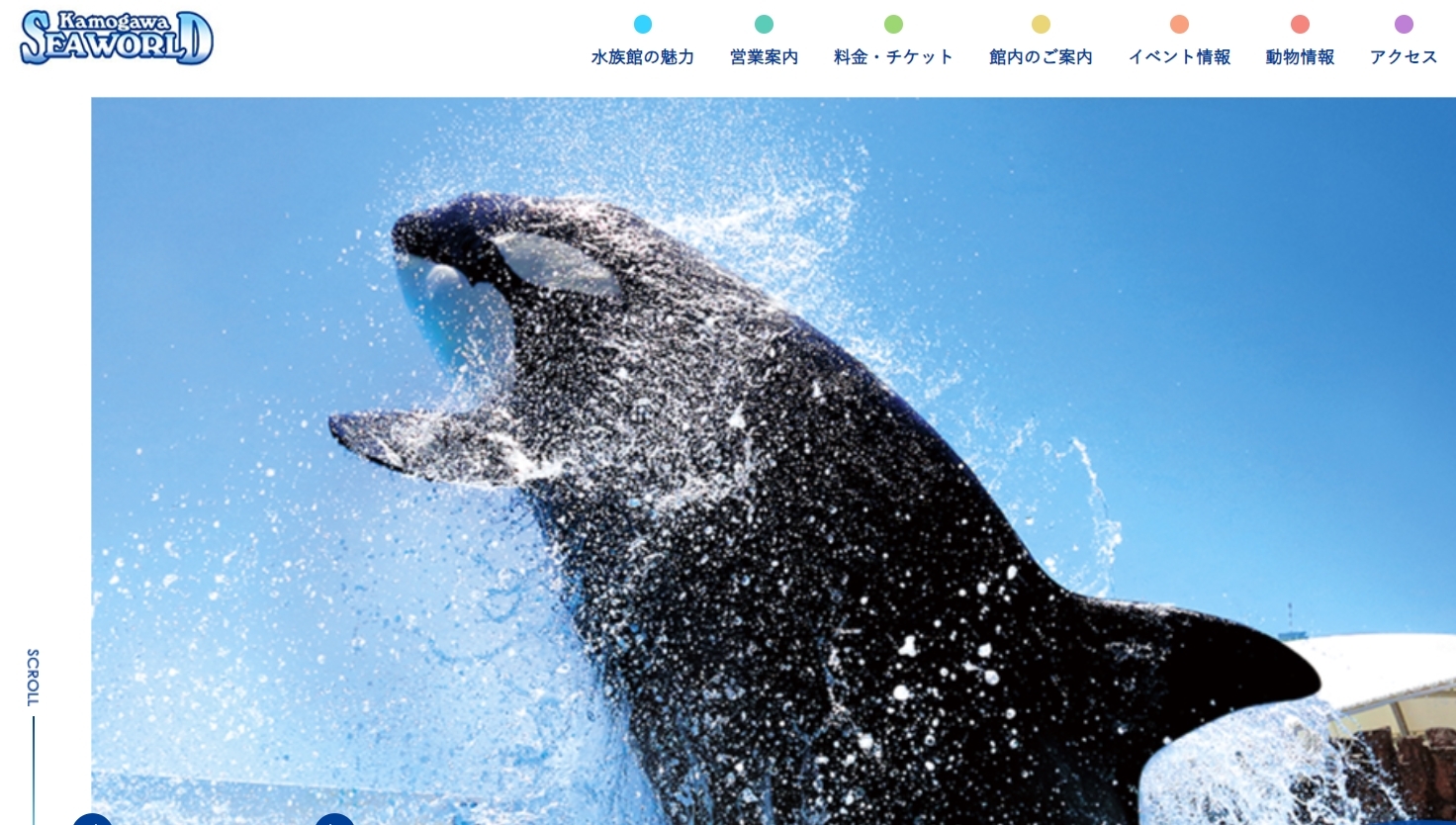 千葉県の水族館ならココ！鴨川シーワールド