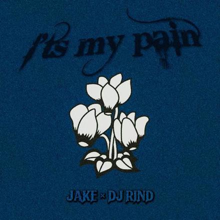 It's My Pain / JAKE×DJ RIND